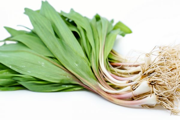 Кракен зеркало onion