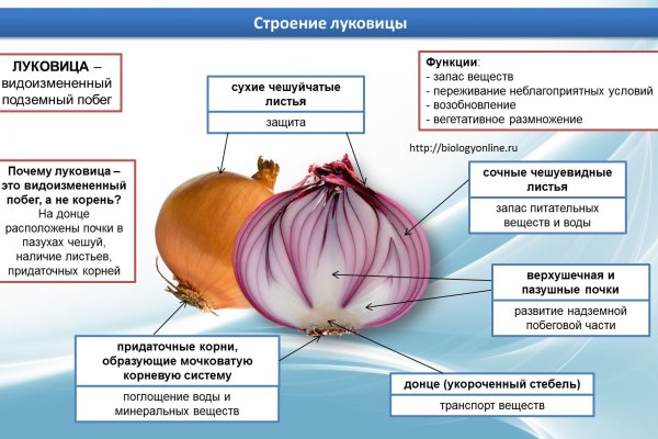Кракен наркошоп